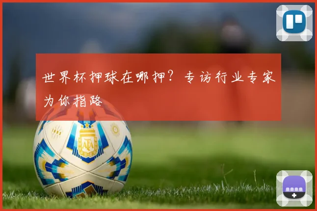 世界杯押球在哪押？专访行业专家为你指路