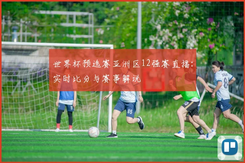 世界杯预选赛亚洲区12强赛直播：实时比分与赛事解说