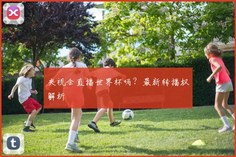 央视会直播世界杯吗？最新转播权解析