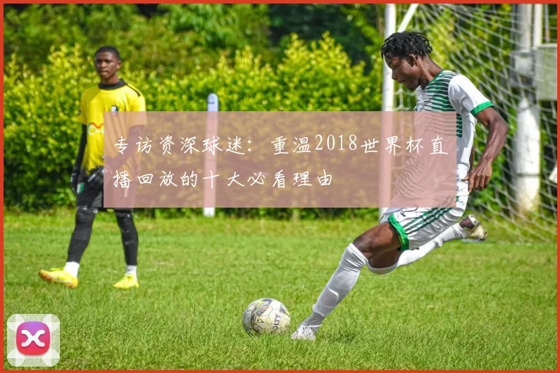 专访资深球迷：重温2018世界杯直播回放的十大必看理由