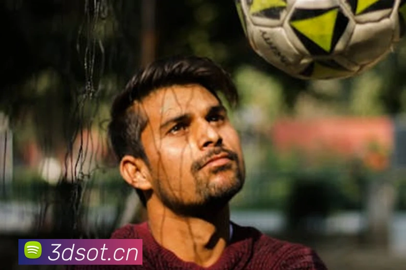 hth网页版平台生态图